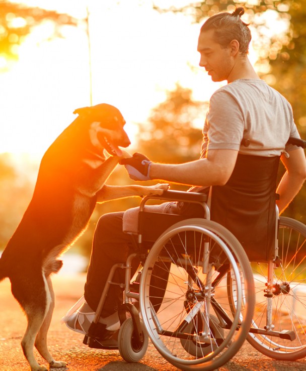 Mann in einem Rollstuhl mit Hund